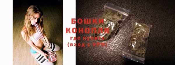 бошки Алексин