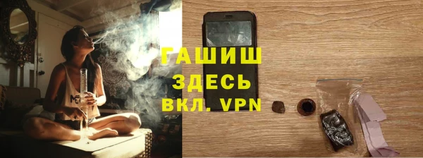 твердый Козельск