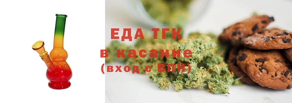индика Краснотурьинск