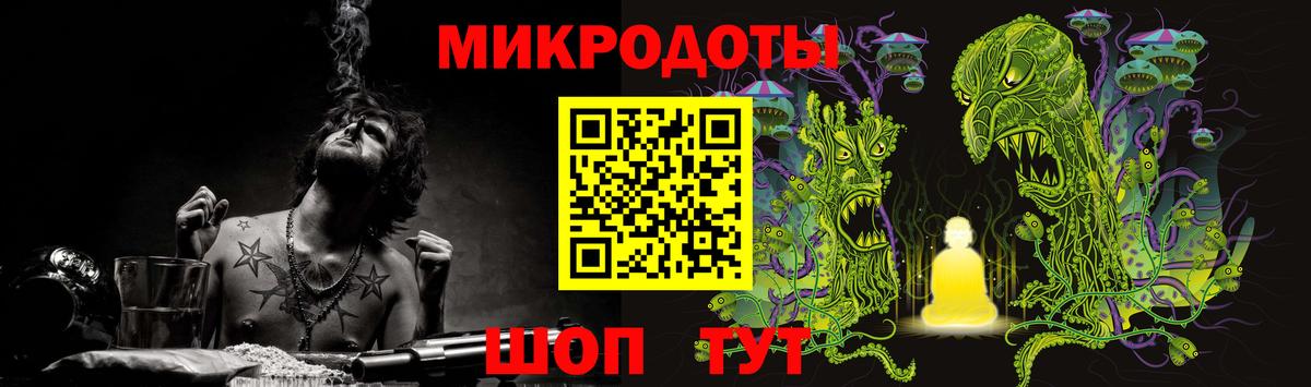 Псилоцибиновые грибы Cubensis Магадан