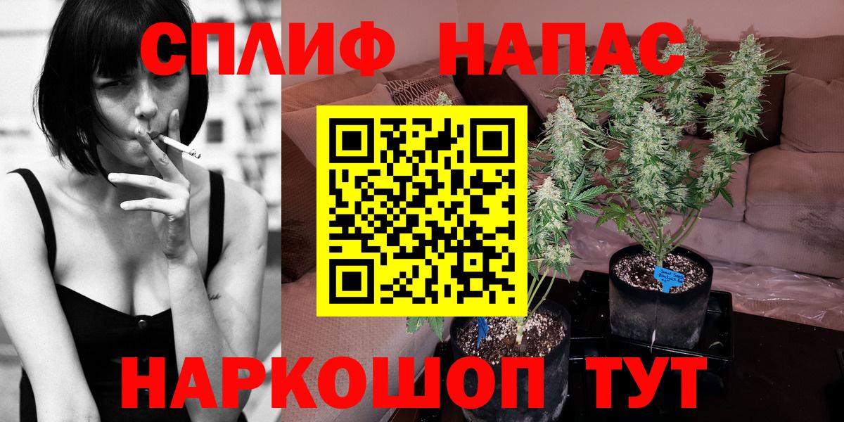 Канабис гибрид Магадан
